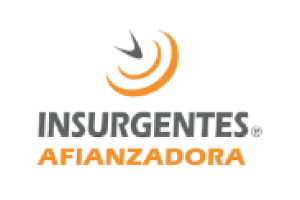 socio_insurgentes
